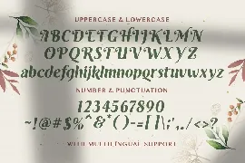 Roshinta - Decorative Display Font