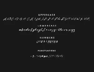 Nico Robin Handwriten font