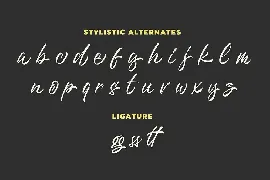 Questario - Stylish Script Font