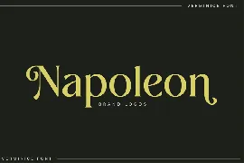 Elegant Serif Font