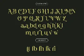 Elegant Serif Font