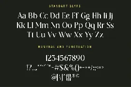 Elegant Serif Font