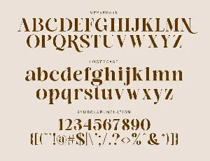 Modern Luxury Serif Typeface font