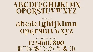 Modern Luxury Serif Typeface font