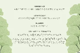 Molga font