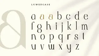 Rosemary - Modern Aesthetic Font