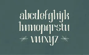 Ramone Aesthetic Serif Font