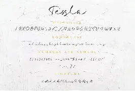 Tessla - Lovely Script Font