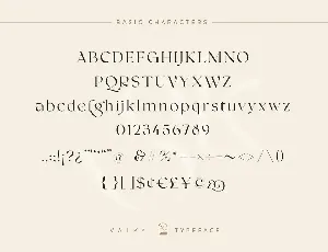 Valky Classic Modern Typeface font