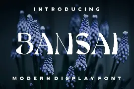 Bansai Font