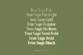 True Sage - Modern Vintage Victorian font