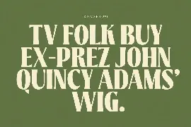 True Sage - Modern Vintage Victorian font