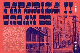 Papariza - Unique Display Typeface font