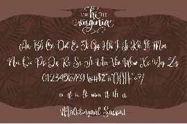 Hi Virginia | Handlettering Font