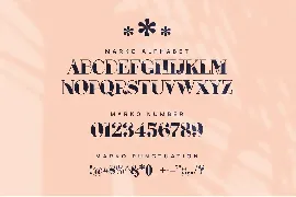 Marko Elegant & Unique Serif Font Typeface