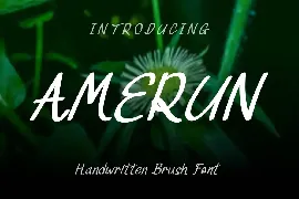 Amerun Font