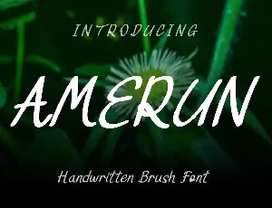 Amerun Font