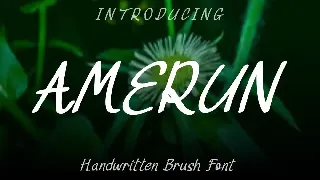 Amerun Font