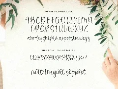 Noble Dream Script Font