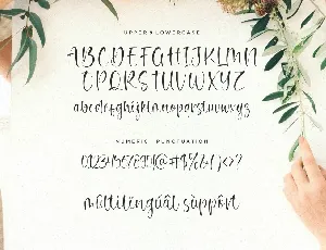 Noble Dream Script Font