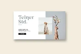 Pollinator Display Serif Font