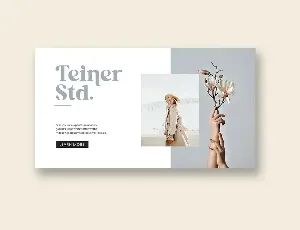 Pollinator Display Serif Font