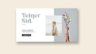 Pollinator Display Serif Font