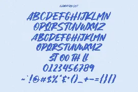 Krinksly Handwritten Display Font