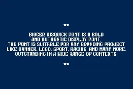 Bigcer Risquick font