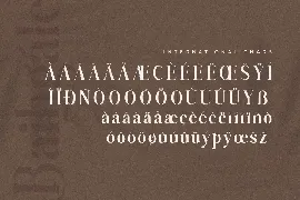 Baihgale Ligature Serif Font