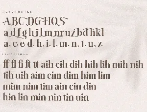 Baihgale Ligature Serif Font