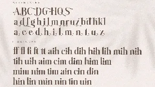 Baihgale Ligature Serif Font