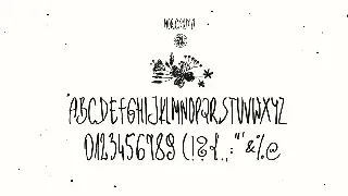 Moricandia Font