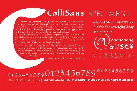 CalliSans font