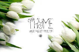 Thyme Font