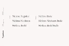 Melina - A Refined Serif Typeface font