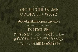 Balechin Royalo Modern Serif Font