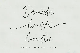 Domestic Script font