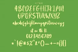 Bottairs Script Font