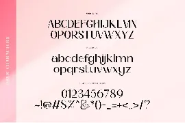 Boiller Typeface font