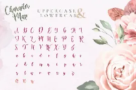 Virgi Ella - Lovely Calligraphy Font