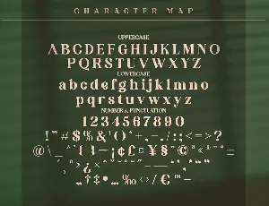 Kakuro Classy Serif Font