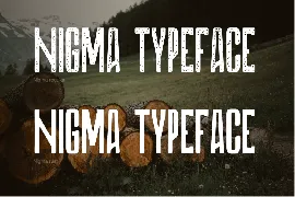 DTF Nigma font