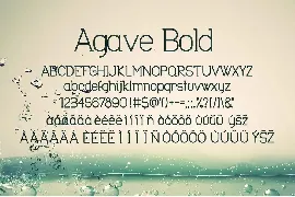 Agave Font Trio