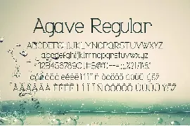 Agave Font Trio