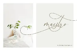 Simplicity Angela - Luxury Elegant Script font