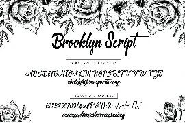 Brooklyn Script font