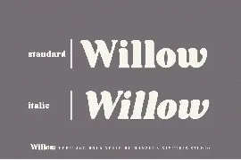 Willow. Typeface Bold Serif font