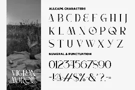 VIGRAN MAROLL font