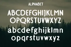 CHARVINE - A Modern Display Font